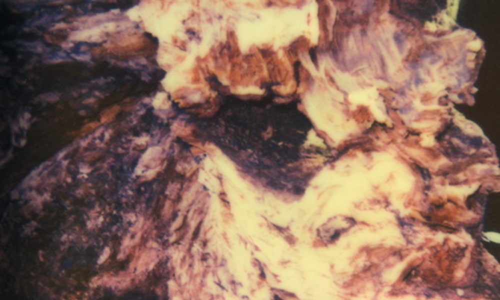 Benoit Pioulard – Hymnal