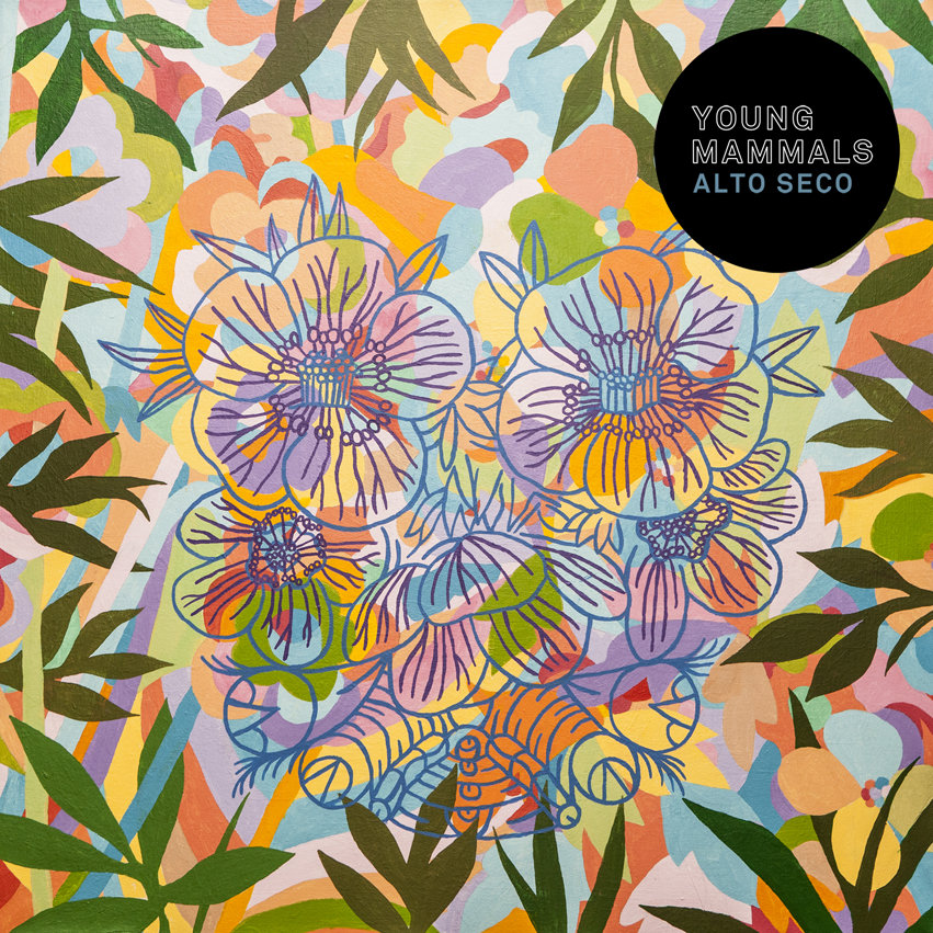 Alto Seco Album Cover by Young Mammals