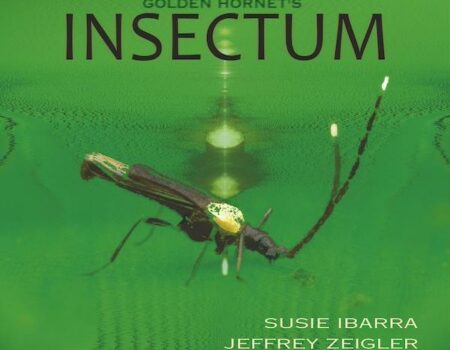 Insectum album cover