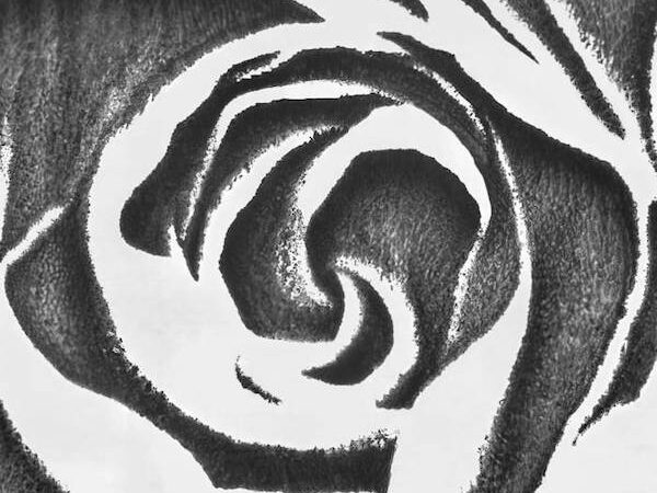 1991 by Drop Nineteens (Wharf Cat Records)