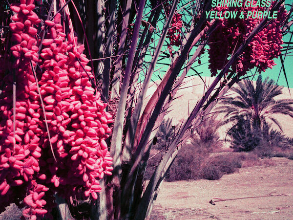 Yellow & Purple by Shining Glass (Independent)