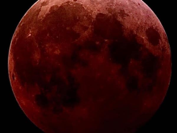 Nighttime’s bleeding heart: March 2025 Lunar Eclipse
