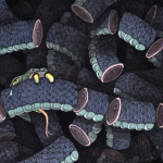 Dream Vessel by William Covert