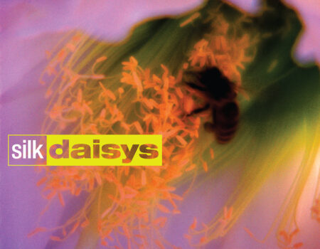 Silk Daisys by Silk Daisys