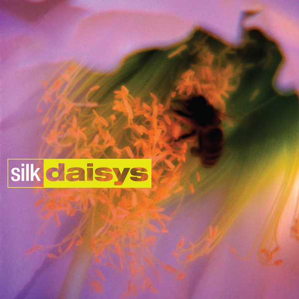 Silk Daisys by Silk Daisys